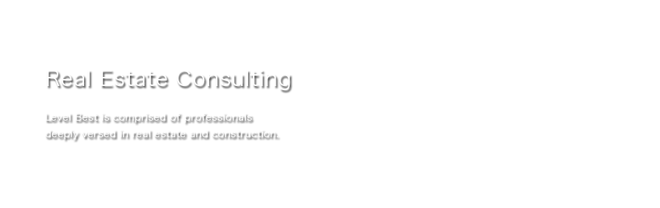 Real Estate Consulting